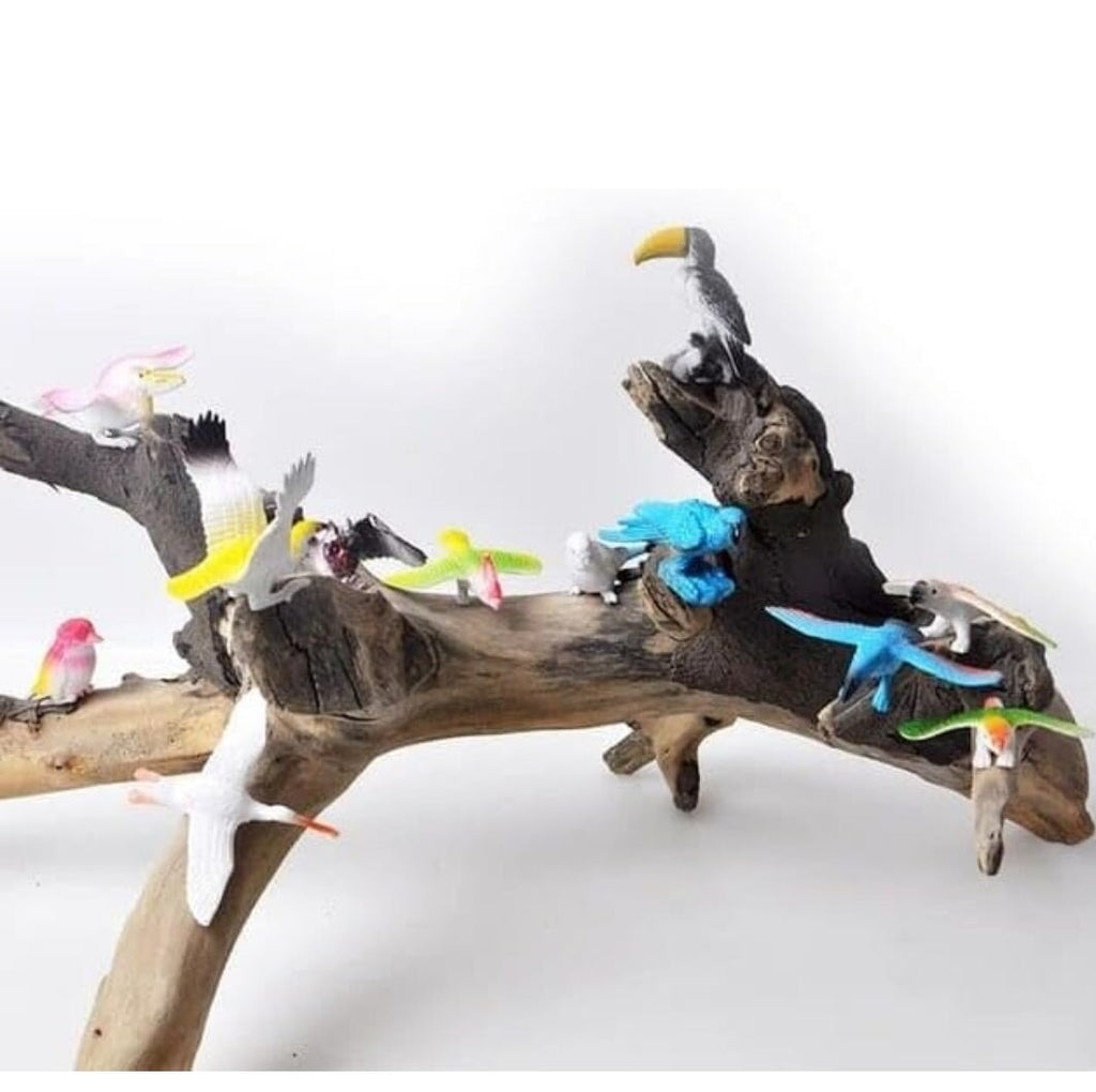 Wings of Wonder Miniature Bird Set: Inspiring Imaginative Adventures with 12 Lifelike Avian Companions Role play toys KidosPark