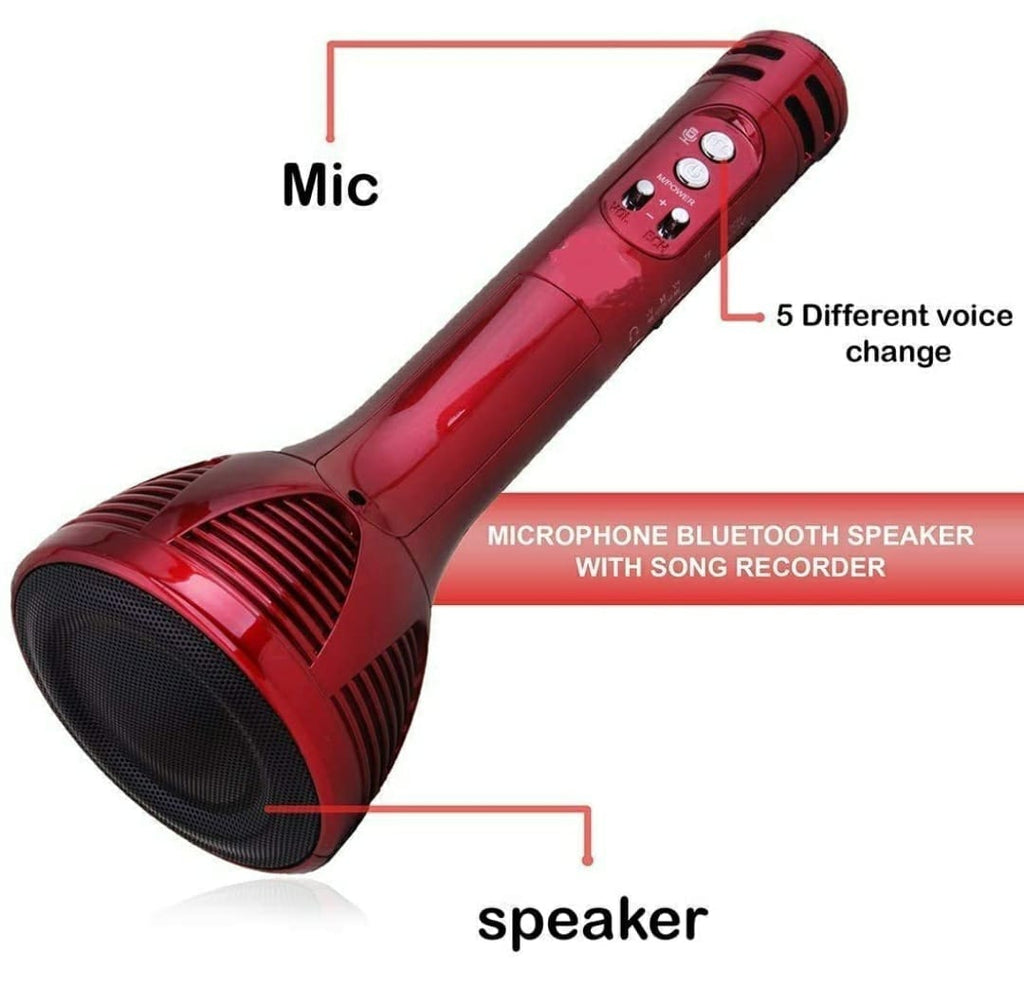 Wireless Handheld Portable Bluetooth Connection Player Speaker Condenser Mic/ Mike Headphones KidosPark